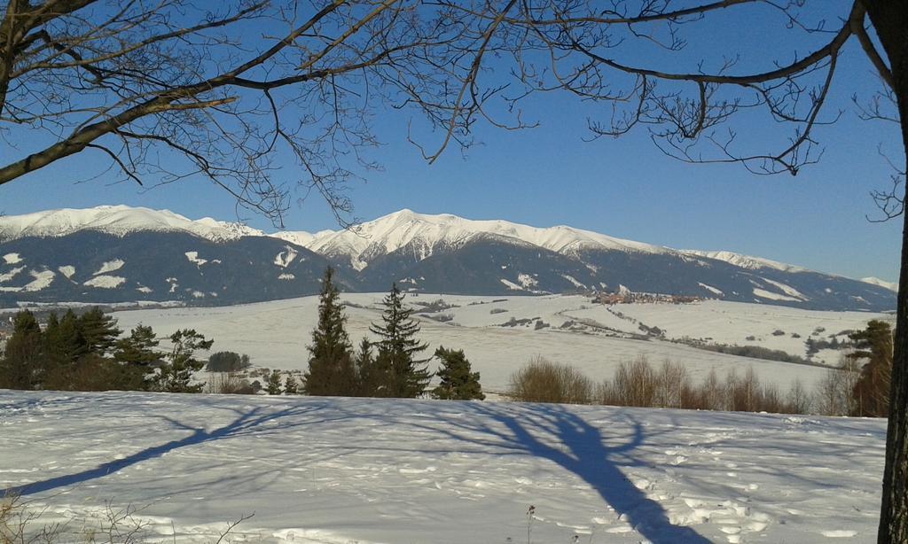 Dovolenkový dom Domcek U Hanov *